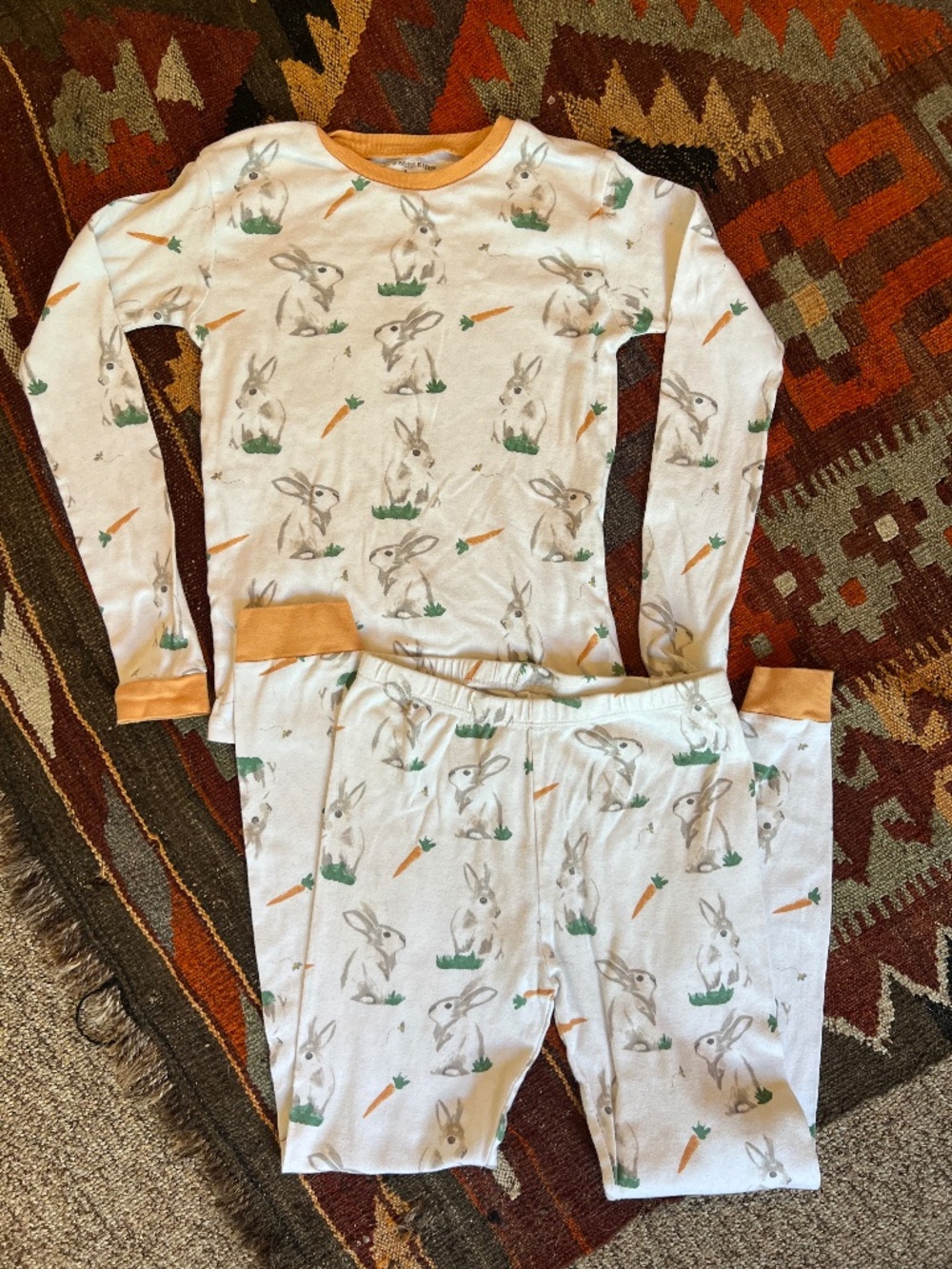 Burt’s Bees Organic Cotton pajamas (size 10)